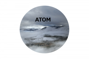 Atom Image 